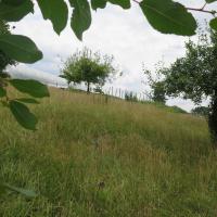 Jardin du Mont Pointu