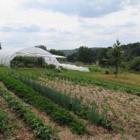 Jardin du Mont Pointu