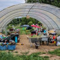 Jardin du Mont Pointu